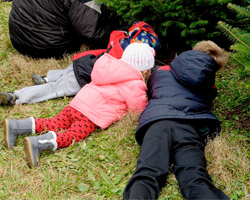 How to Prevent Holiday Fresh Greenery from Drying Out ...