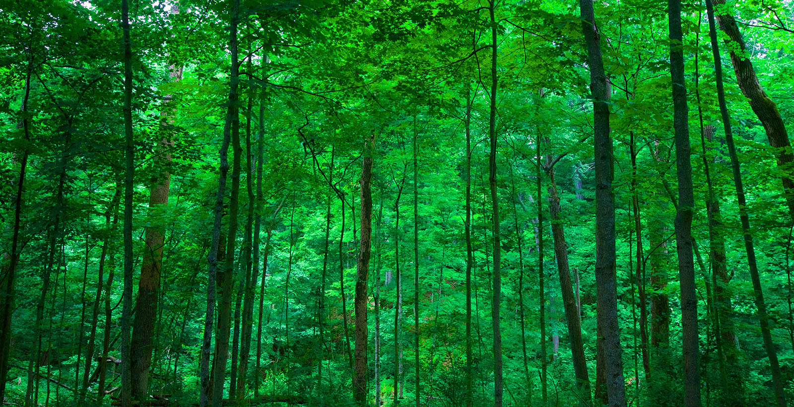 Butler County, Ohio Nature