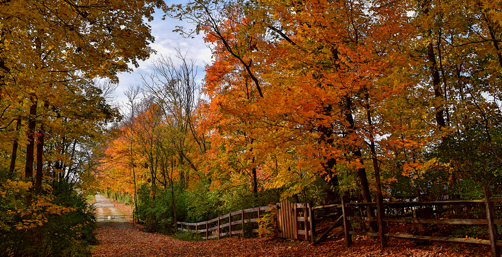 Dudley Memorial Park