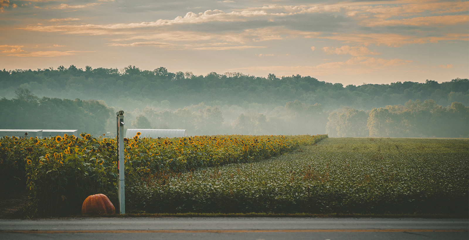 Fall in Butler County