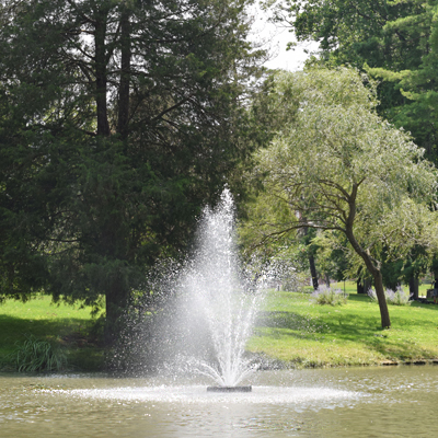 CFG Pond & Fountain