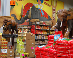 Elephants Jungle Jim's