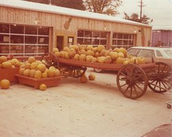 Produce Stand