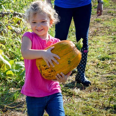 Little Girl Carrying Pumpkin at Garver Family Farm Patch
