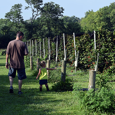 Indian Springs Berry Farm