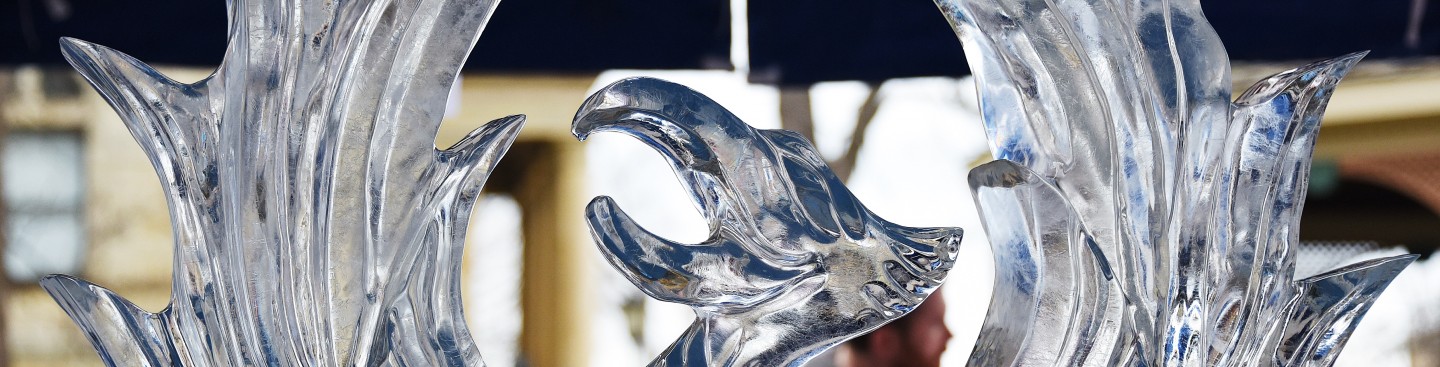 Ice Fest Sculpture