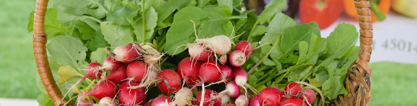 West Chester Farmers Market