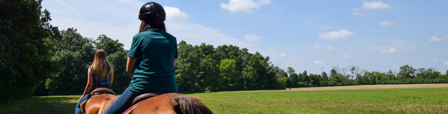 Nation Road Horse Rental