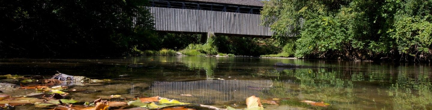 Black Covered Bridge