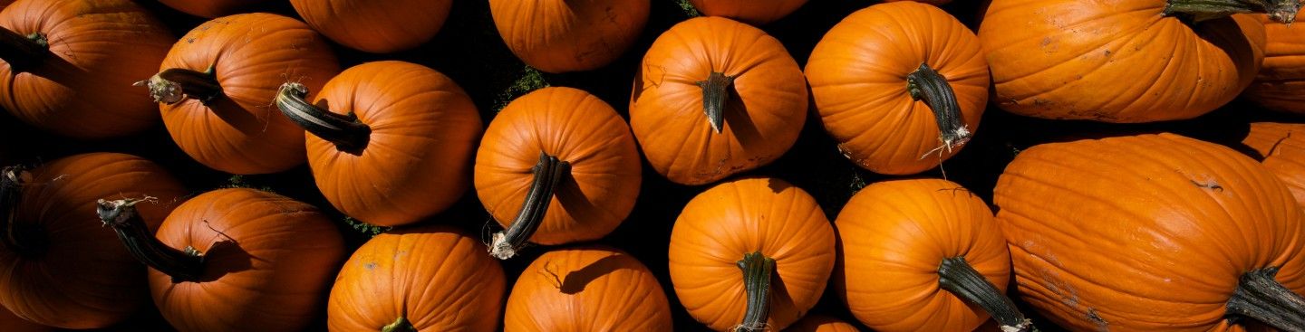 Barn-N-Bunk Pumpkins