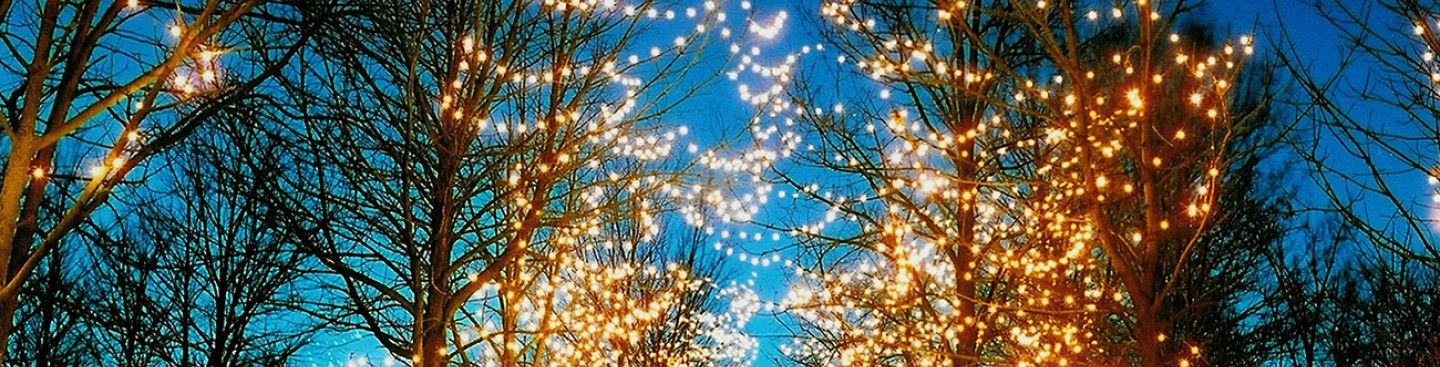 Lights on the Hill - Pyramid Hill