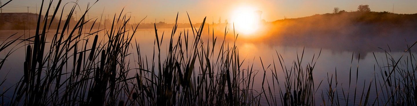 Sunrise Voice of America MetroPark