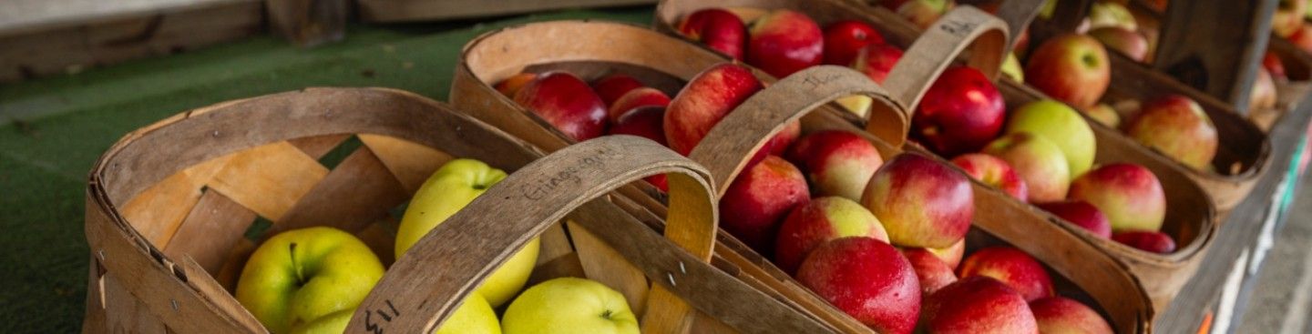 Barn-N-Bunk Fresh Apples
