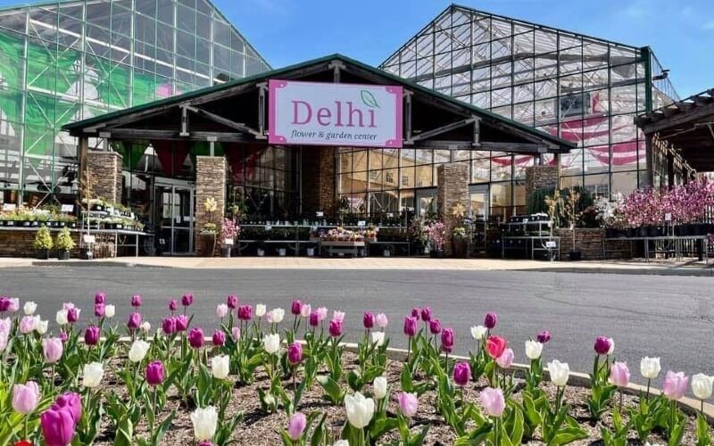 Delhi Flower & Garden Center