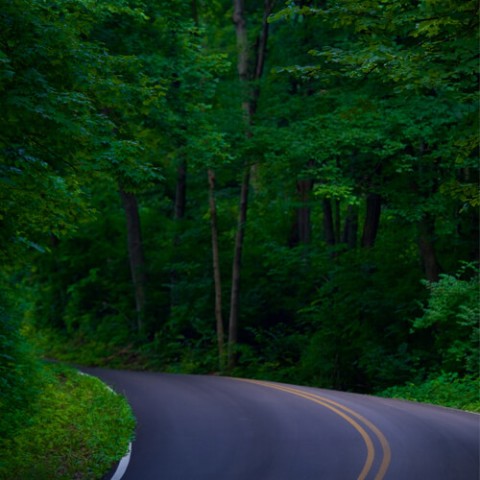 Fairfield Motorcycle Ride