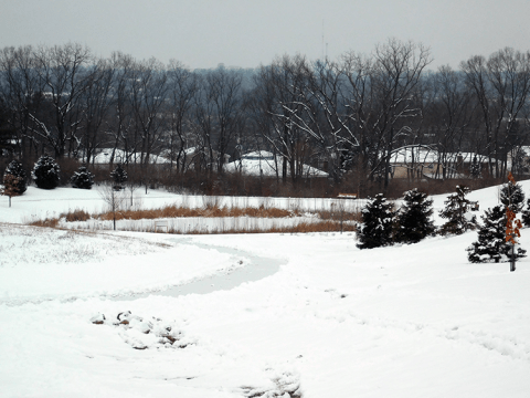 Huffman Park Winter