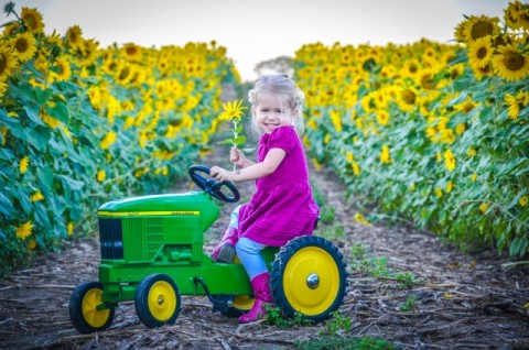Content image Burwinkel Farms