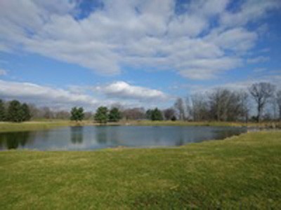Elk Creek