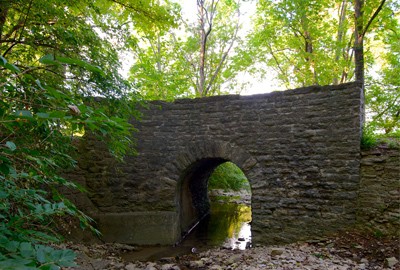 Content image Image file RentschlerForestMetroParks.jpg
