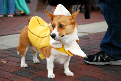Content image Uptown Trick or Treat