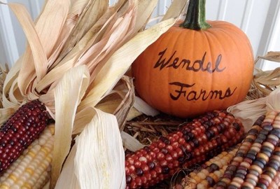 Content image Image file WendelFarms.jpg