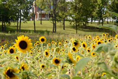 Content image Image file chrisholmphoto.jpg