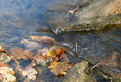Content image Image file creekingintheparksbutlercounty.jpg