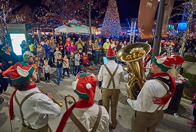 Content image Image file libertycentertreelighting.jpg