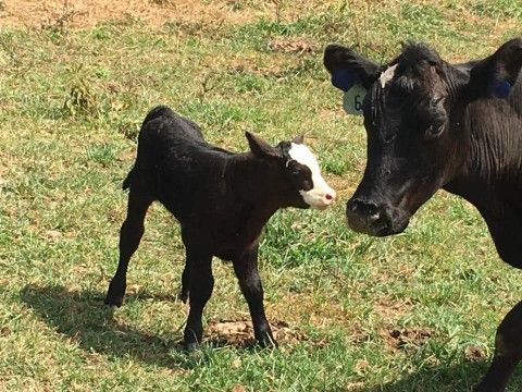 Content image Image file Jackson-Family-Farm-bc5362be5056a36_bc5363c9-5056-a36a-093dd3c34a8a0fe8.jpg