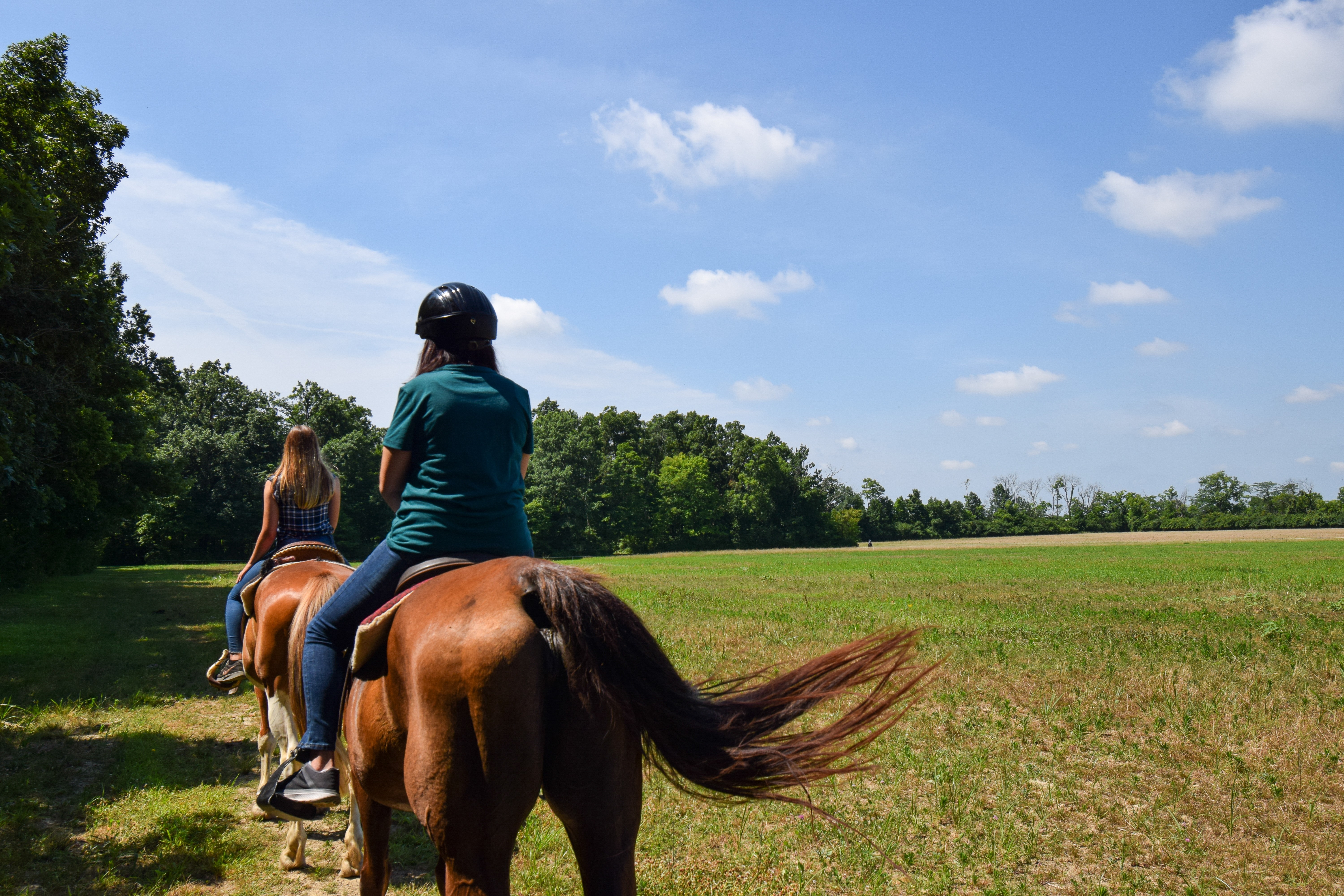 Nation Road Horse Rental