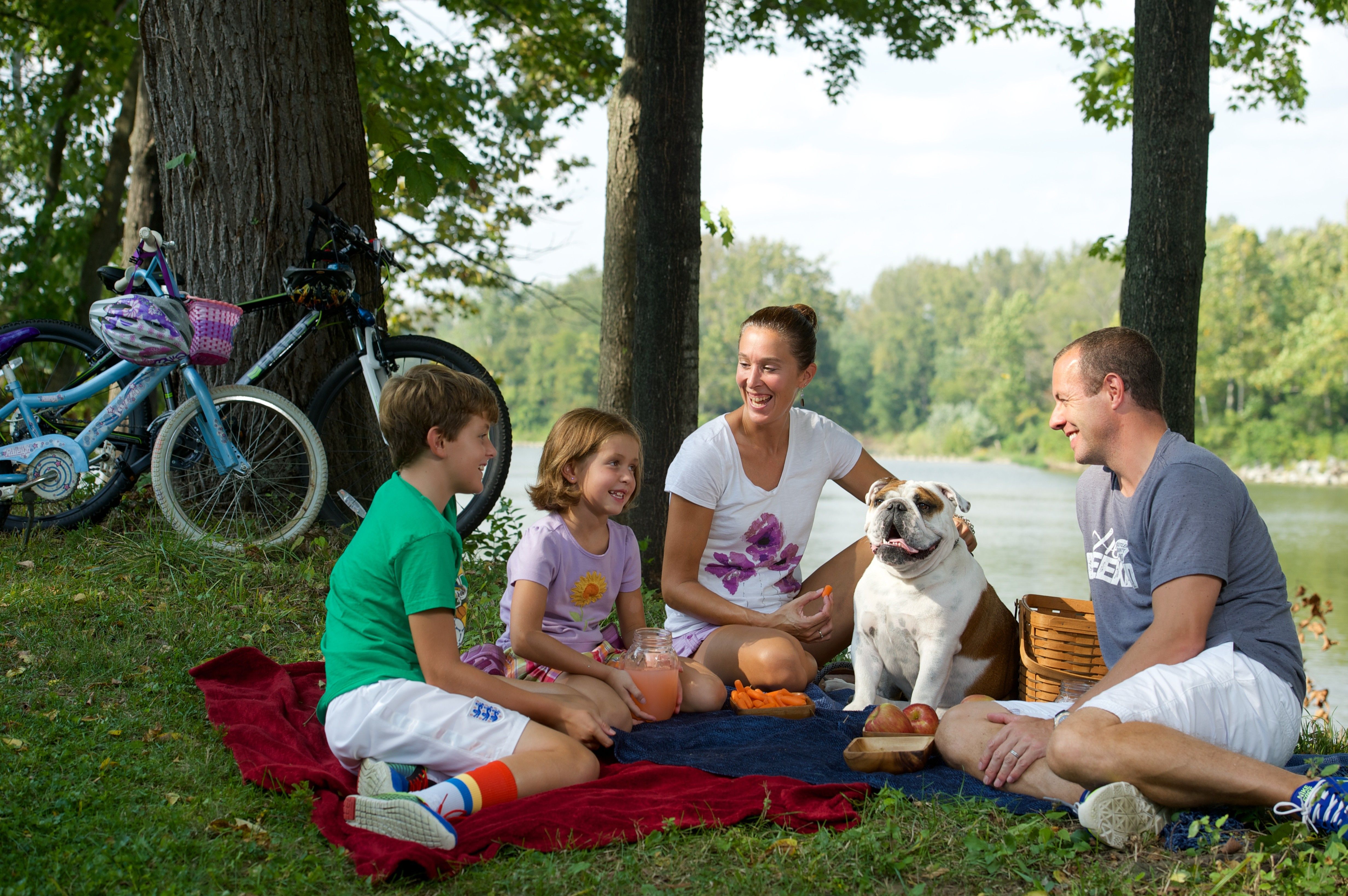 places to get free dog food near me places to get free dog food near me
