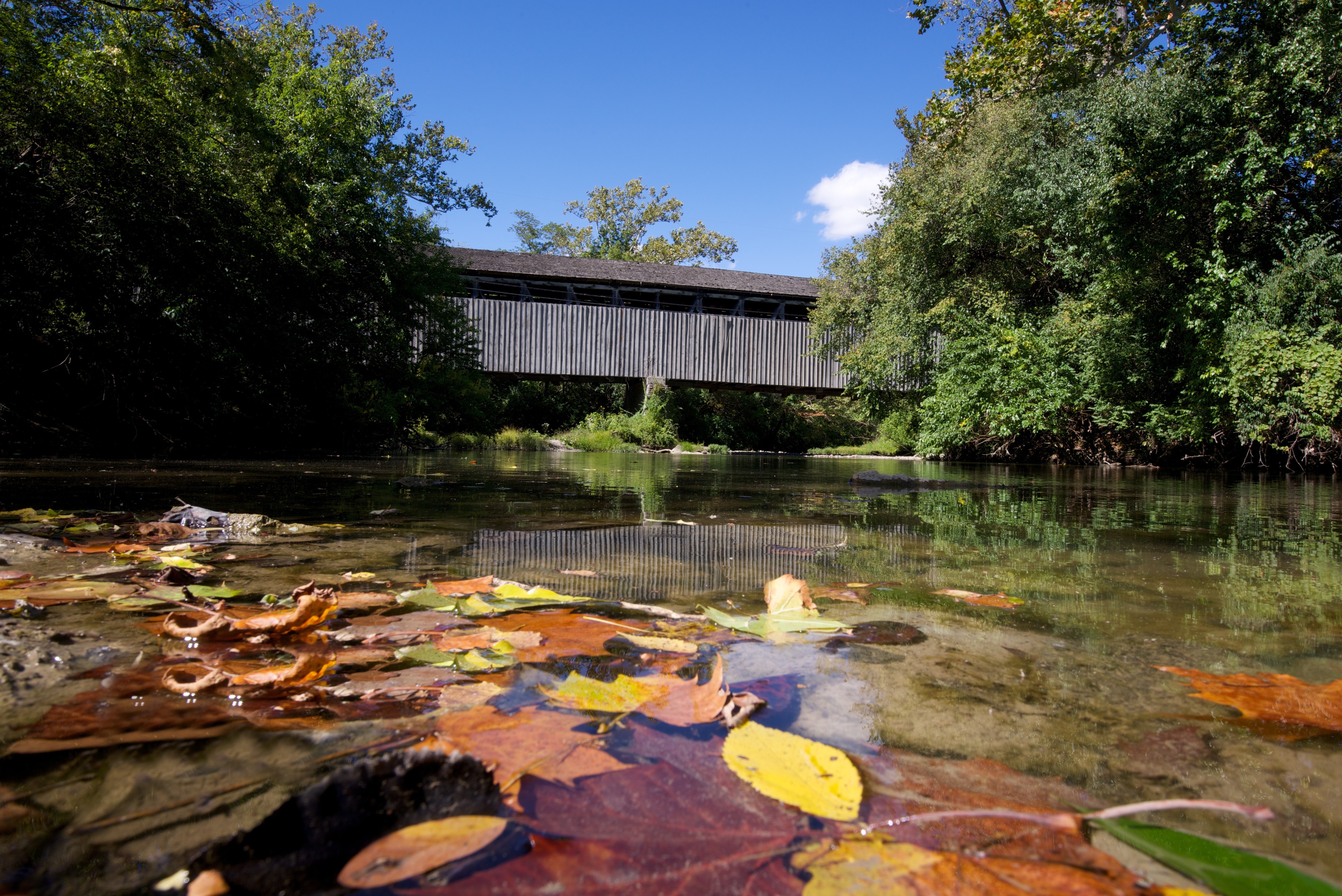 Black Covered Bridge
