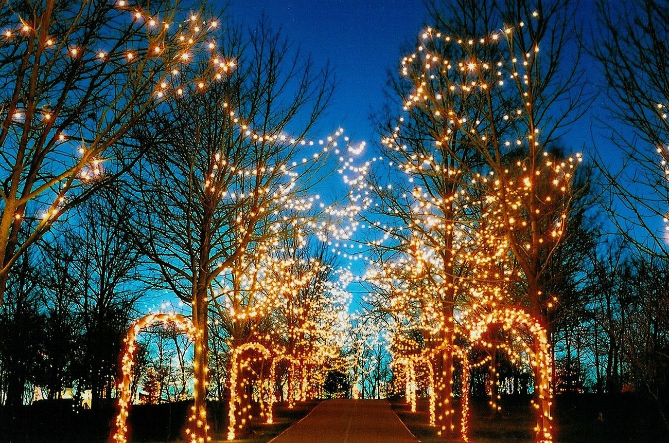 Lights on the Hill - Pyramid Hill