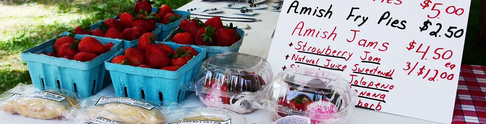 Shandon Strawberry Festival