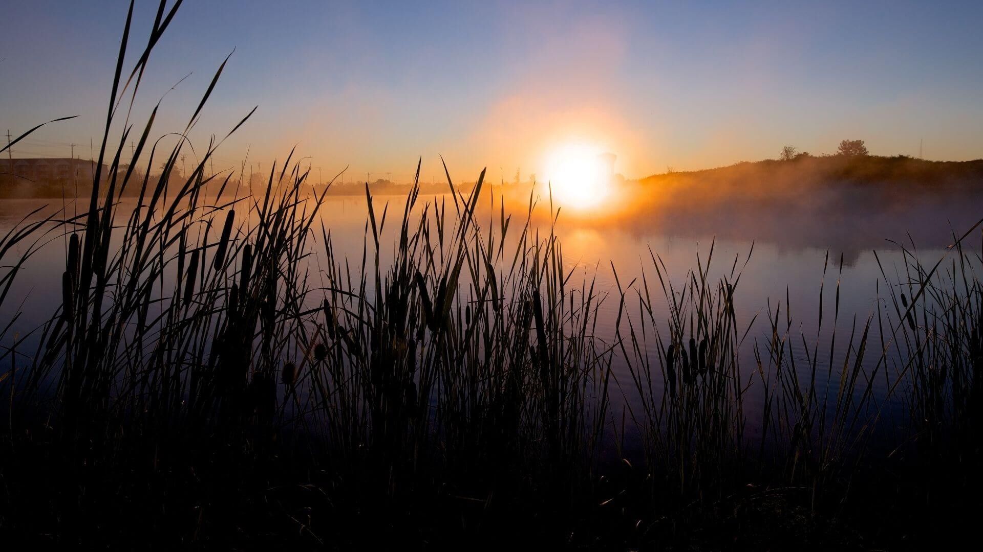 Birding Spots in Ohio