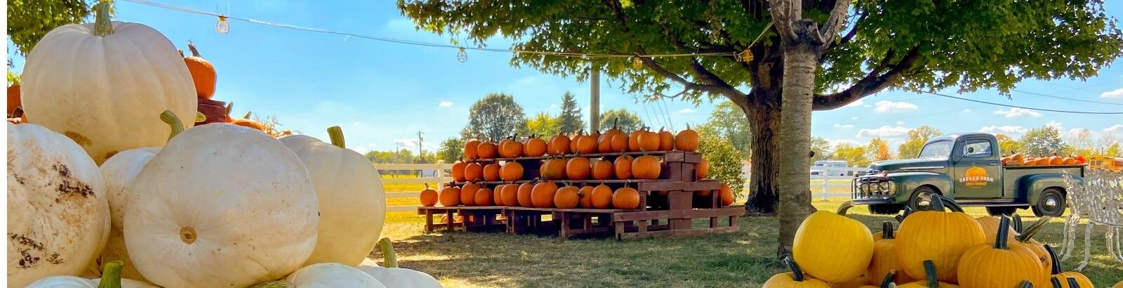 Ohio Fall Activities