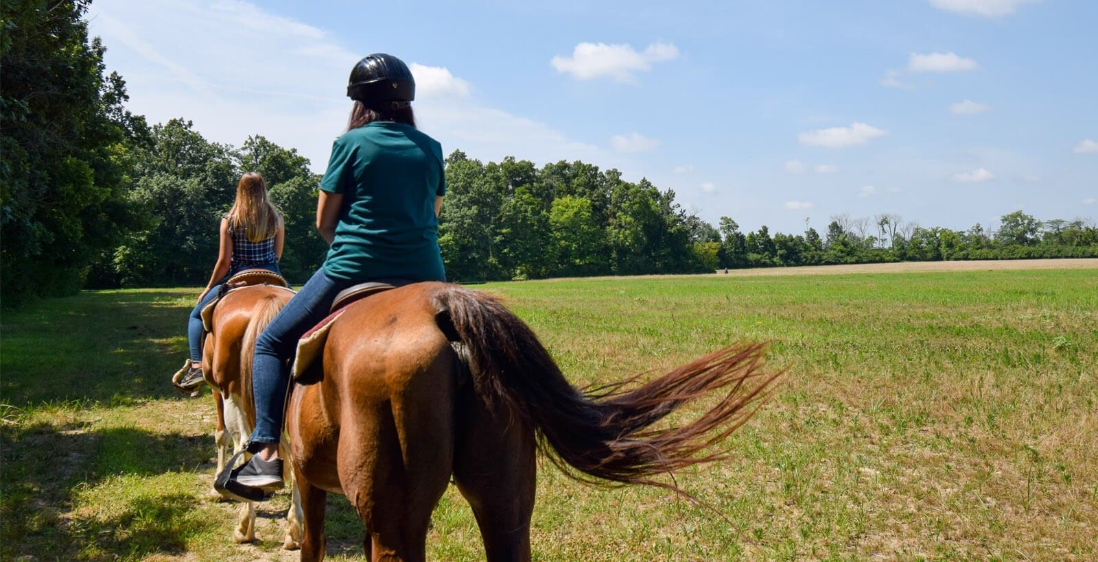 Nation Road Horse Rental