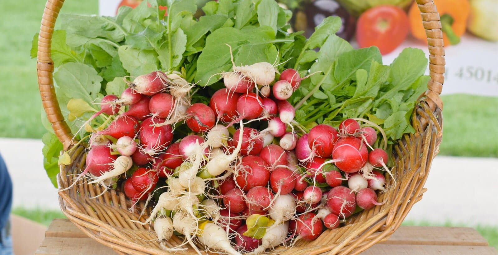 Vegetable Basket at West Chester Market