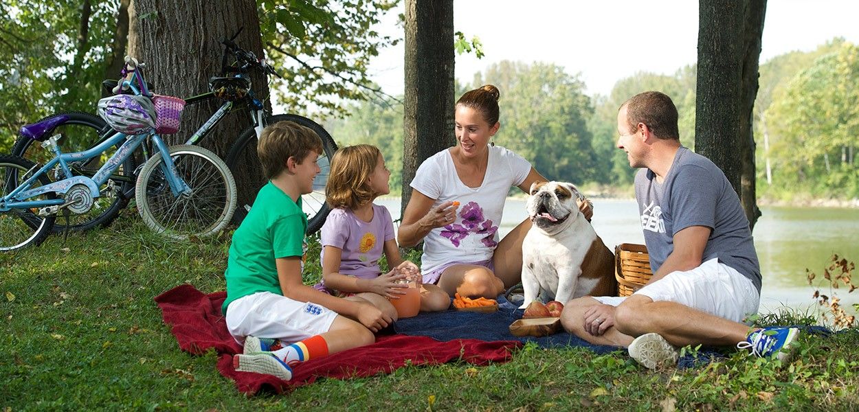 Content image Image file visitor.jpg