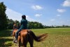 Nation Road Horse Rental